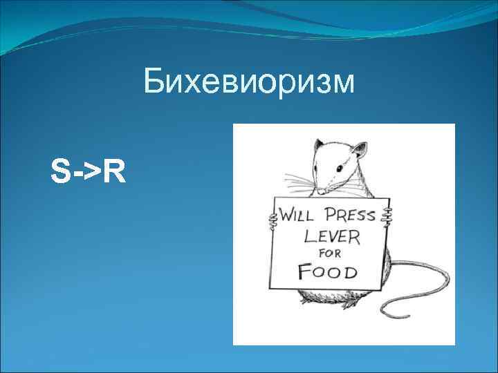 Бихевиоризм S->R 