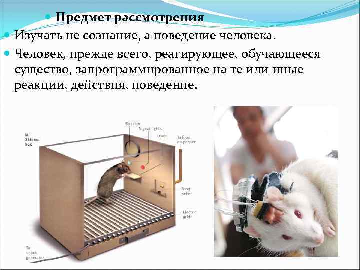  Предмет рассмотрения Изучать не сознание, а поведение человека. Человек, прежде всего, реагирующее, обучающееся