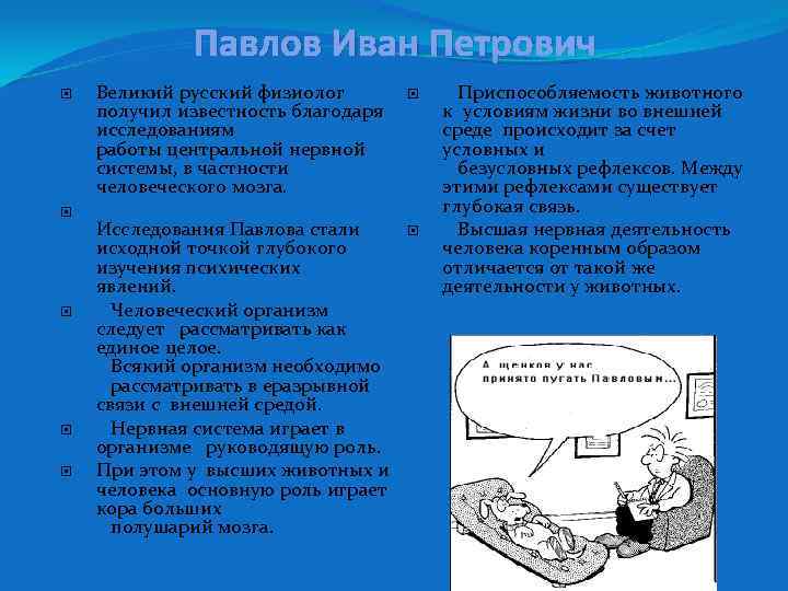 Павлов Иван Петрович Великий русский физиолог получил известность благодаря исследованиям работы центральной нервной системы,