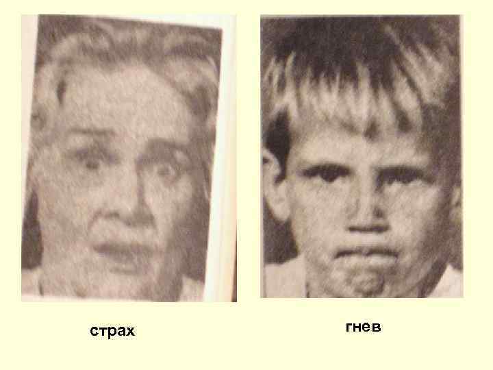 страх гнев 