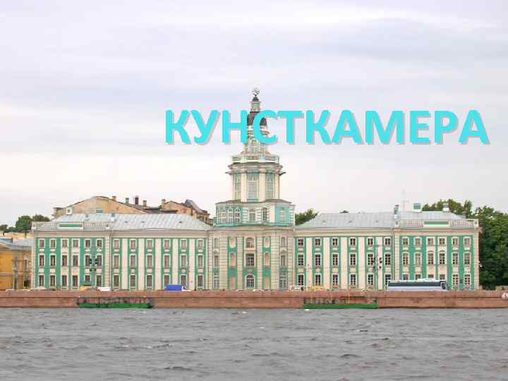 КУНСТКАМЕРА 