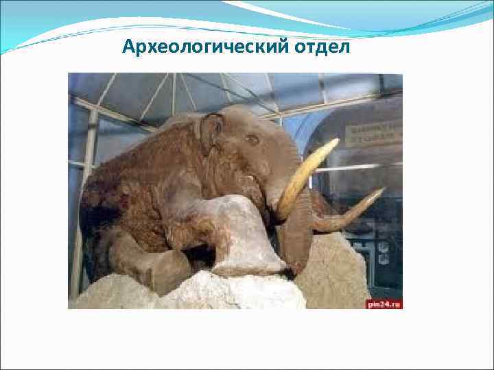 Археологический отдел 