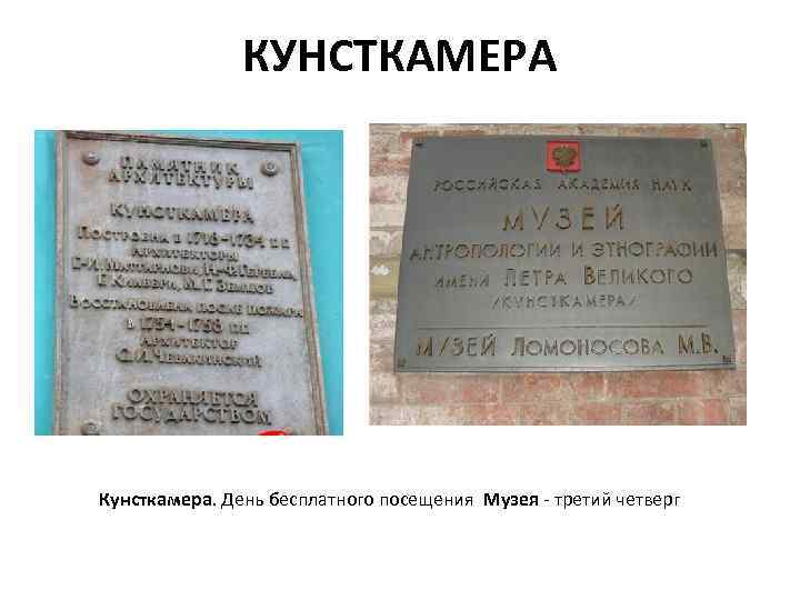 КУНСТКАМЕРА Кунсткамера. День бесплатного посещения Музея - третий четверг 