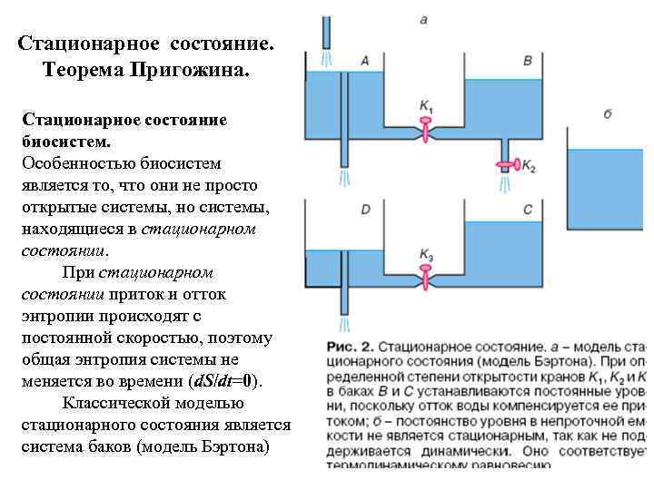 Стационарное состояние. Теорема Пригожина. Стационарное состояние биосистем. Особенностью биосистем является то, что они не
