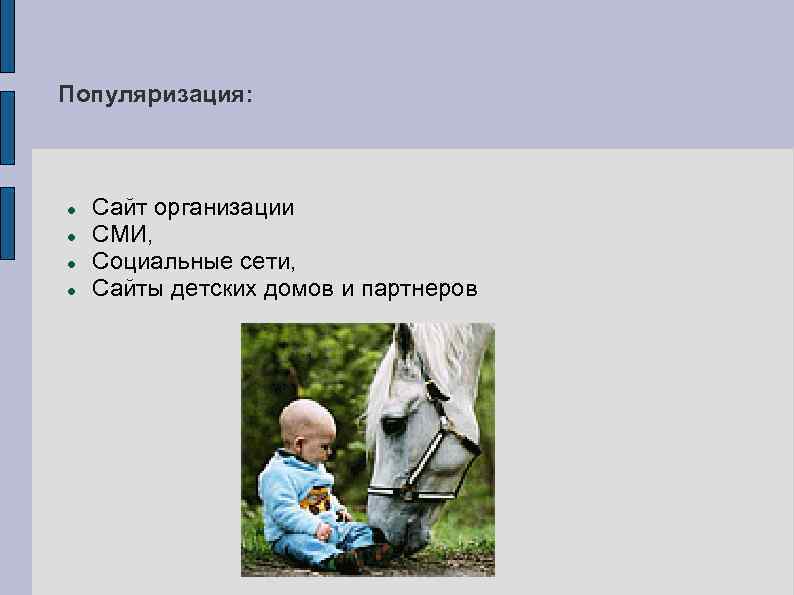 Популяризация: Сайт организации СМИ, Социальные сети, Сайты детских домов и партнеров 