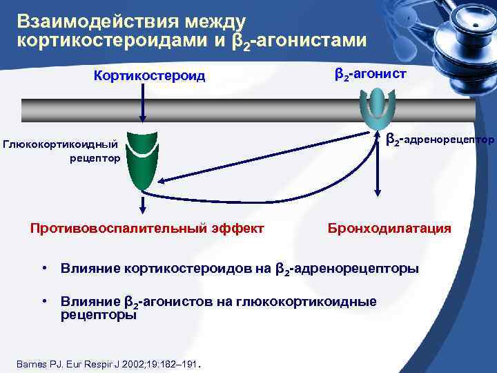 Взаимодействия между кортикостероидами и β 2 -агонистами Кортикостероид β 2 -агонист β 2 -адренорецептор