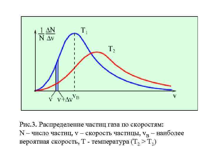 Рис. 3. Распределение частиц газа по скоростям: N – число частиц, v – скорость