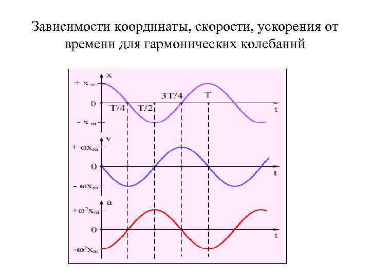 Зависимости координаты, скорости, ускорения от времени для гармонических колебаний 
