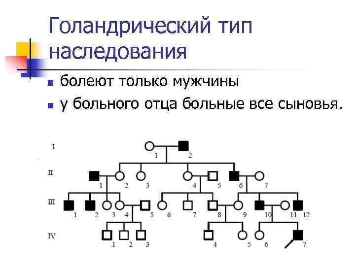 Почему в результате одного и того же действия с одинаковыми образцами почвы ученики получили разные