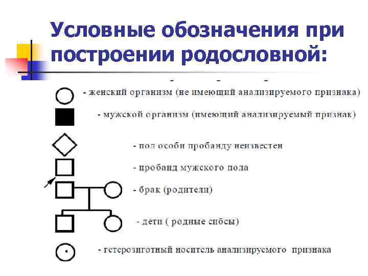 Условные обозначения при построении родословной: 