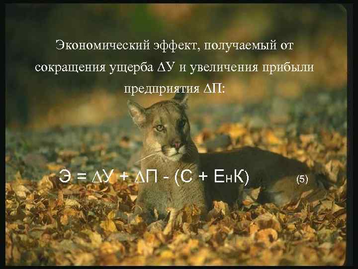 Экономический эффект, получаемый от сокращения ущерба ∆У и увеличения прибыли предприятия ∆П: Э =