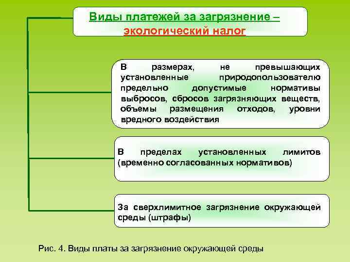 Виды платежей за загрязнение – экологический налог В размерах, не превышающих установленные природопользователю предельно