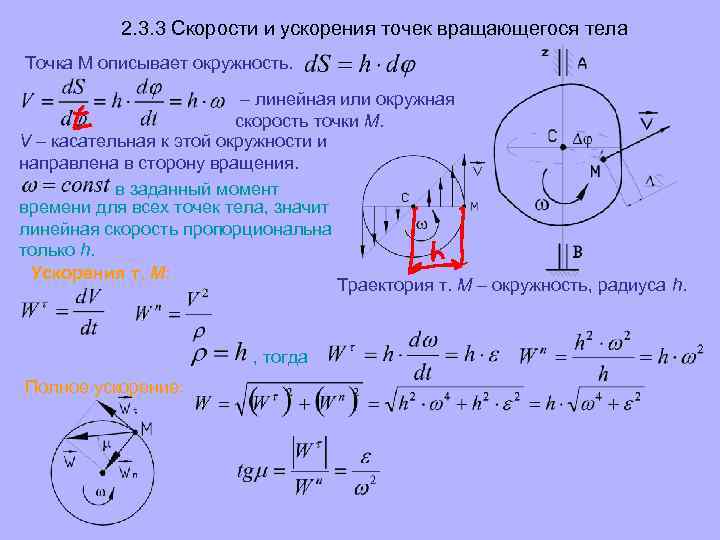 2. 3. 3 Скорости и ускорения точек вращающегося тела Точка М описывает окружность. –