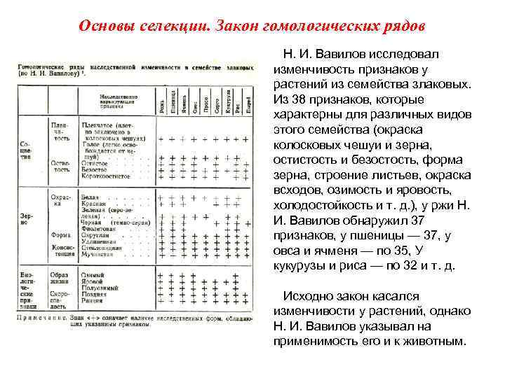 Основы селекции. Закон гомологических рядов Н. И. Вавилов исследовал изменчивость признаков у растений из