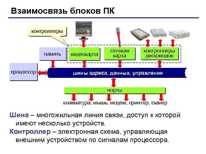 Взаимосвязь блоков ПК контроллеры память процессор видеокарта сетевая карта контроллеры дисководов шины адреса, данных,