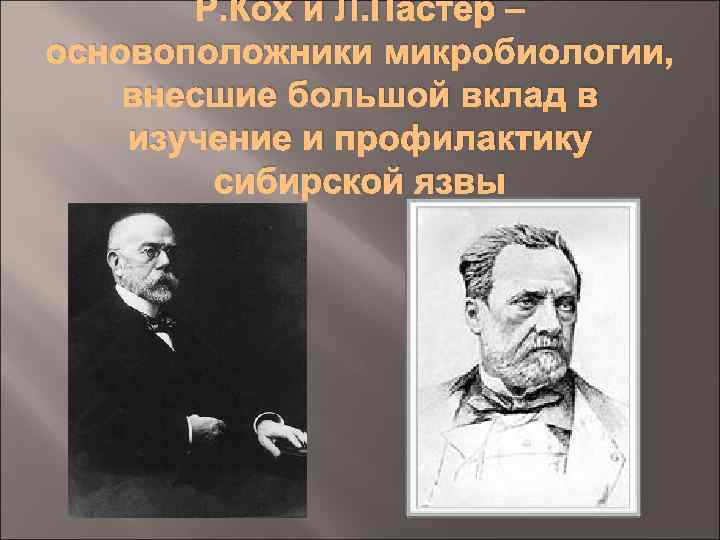 Р. Кох и Л. Пастер – основоположники микробиологии, внесшие большой вклад в изучение и