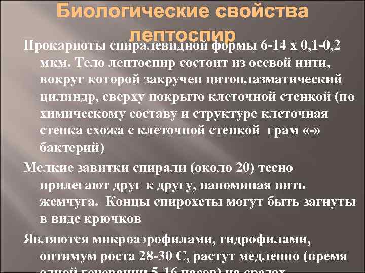 Биологические свойства лептоспир 6 -14 х 0, 1 -0, 2 Прокариоты спиралевидной формы мкм.