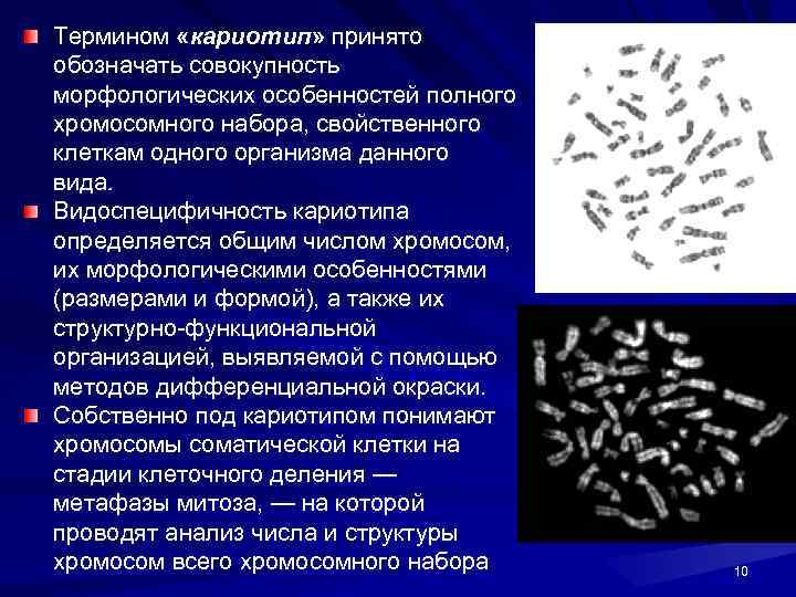 Кариотип анализ для чего