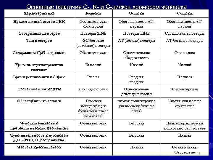 Основные различия С-, R- и G-дисков хромосом человека Характеристика R-диски G-диски С-диски Нуклеотидный состав