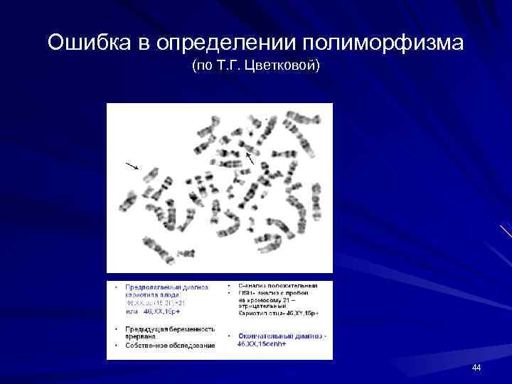 Ошибка в определении полиморфизма (по Т. Г. Цветковой) 44 