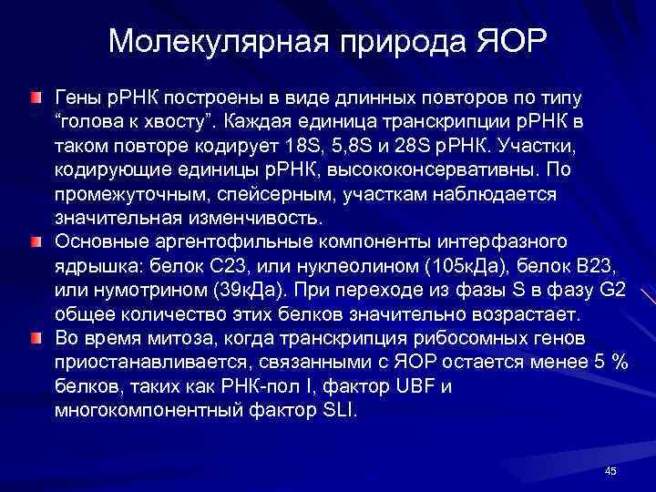 Молекулярная природа ЯОР Гены р. РНК построены в виде длинных повторов по типу “голова