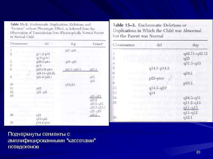 Подчеркнуты сегменты с амплифицированными 