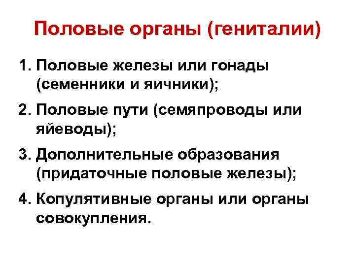 Половые органы (гениталии) 1. Половые железы или гонады (семенники и яичники); 2. Половые пути