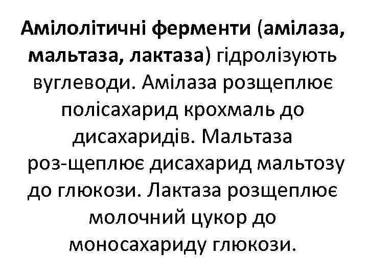 Амілолітичні ферменти (амілаза, мальтаза, лактаза) гідролізують вуглеводи. Амілаза розщеплює полісахарид крохмаль до дисахаридів. Мальтаза