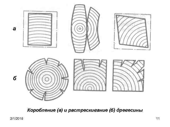 а б Коробление (а) и растрескивание (б) древесины 2/1/2018 11 