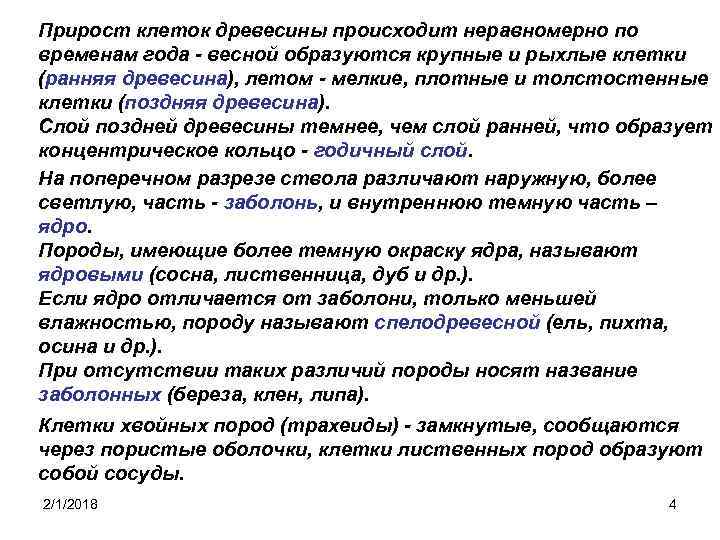 Прирост клеток древесины происходит неравномерно по временам года - весной образуются крупные и рыхлые