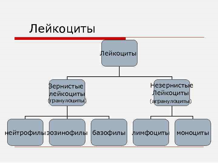Лейкоциты Зернистые лейкоциты (гранулоциты) Незернистые Лейкоциты (агранулоциты) нейтрофилы эозинофилы базофилы лимфоциты моноциты 