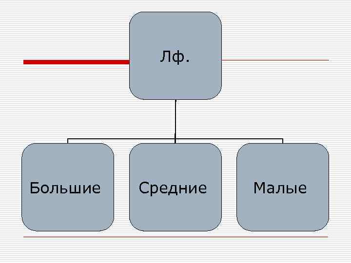 Лф. Большие Средние Малые 