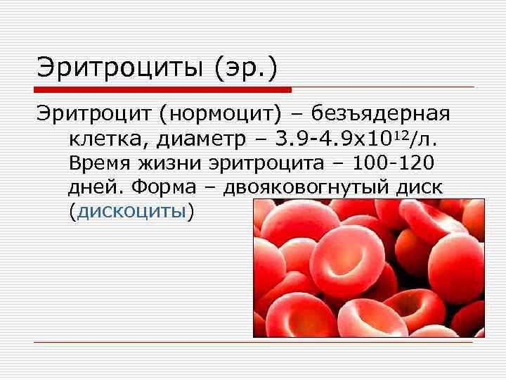 Безъядерные элементы крови