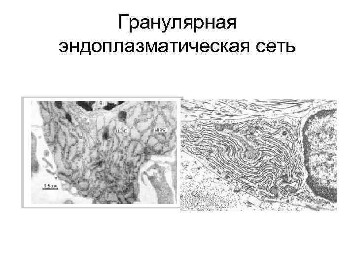 Как выделяются на диаграмме пс гранулярные коллекторы на месторождениях западной сибири