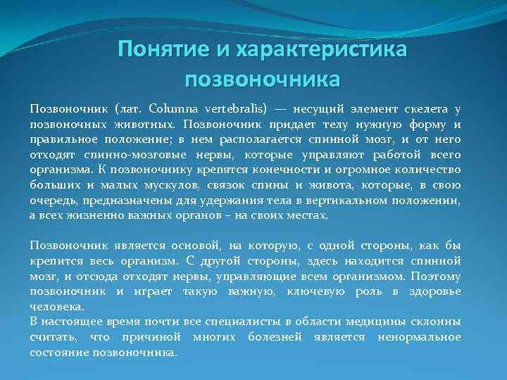Понятие и характеристика позвоночника Позвоночник (лат. Columna vertebralis) — несущий элемент скелета у позвоночных