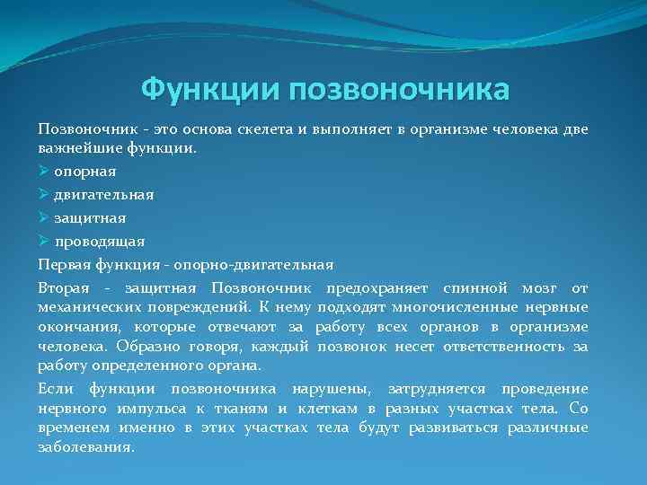 Функции позвоночника Позвоночник - это основа скелета и выполняет в организме человека две важнейшие