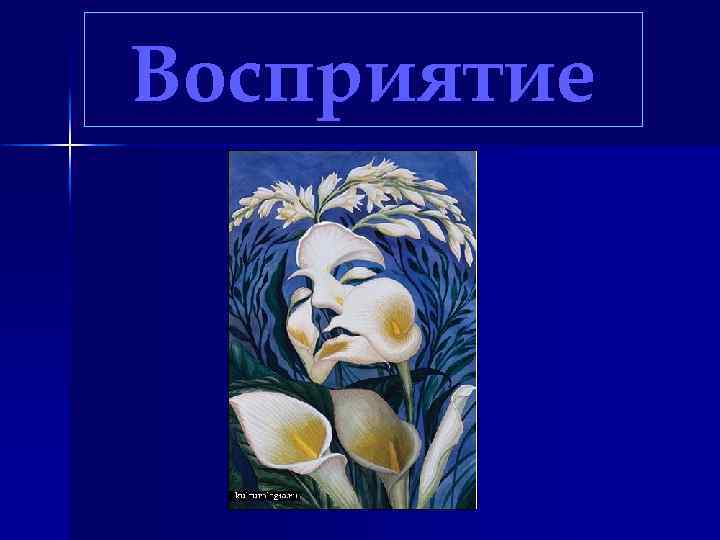 Восприятие 