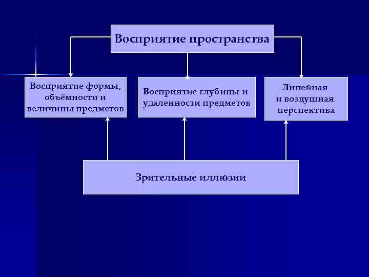 Восприятие пространства Восприятие формы, объёмности и величины предметов Восприятие глубины и удаленности предметов Зрительные