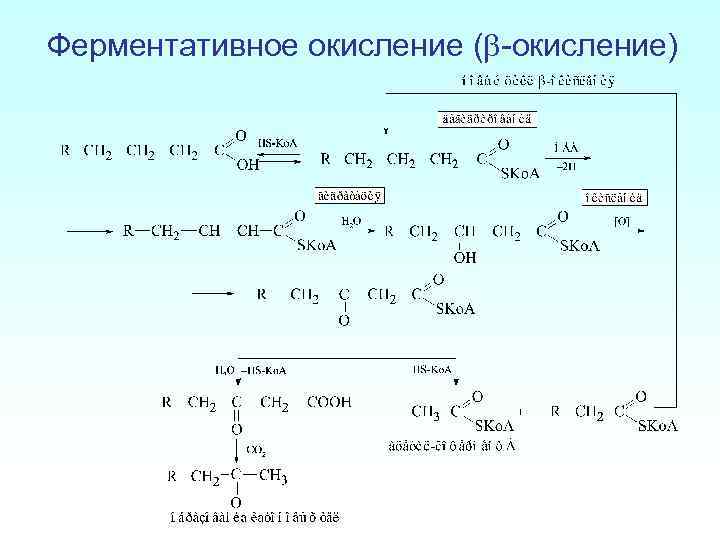 Отметь схему процесса окисления c 4 4e c0