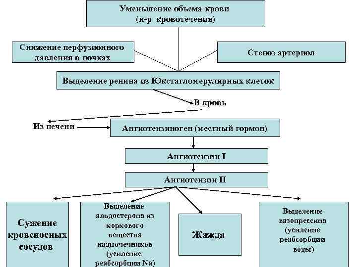 Уменьшение объема крови (н-р кровотечения) Снижение перфузионного давления в почках Стеноз артериол Выделение ренина