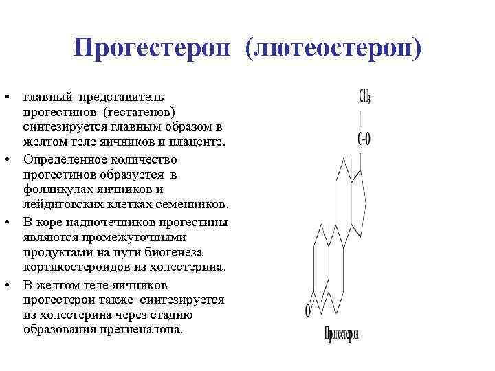 Прогестерон (лютеостерон) • главный представитель прогестинов (гестагенов) синтезируется главным образом в желтом теле яичников