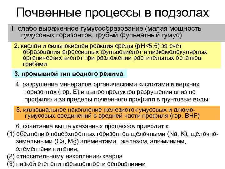 Почвенные процессы в подзолах 1. слабо выраженное гумусообразование (малая мощность гумусовых горизонтов, грубый фульватный