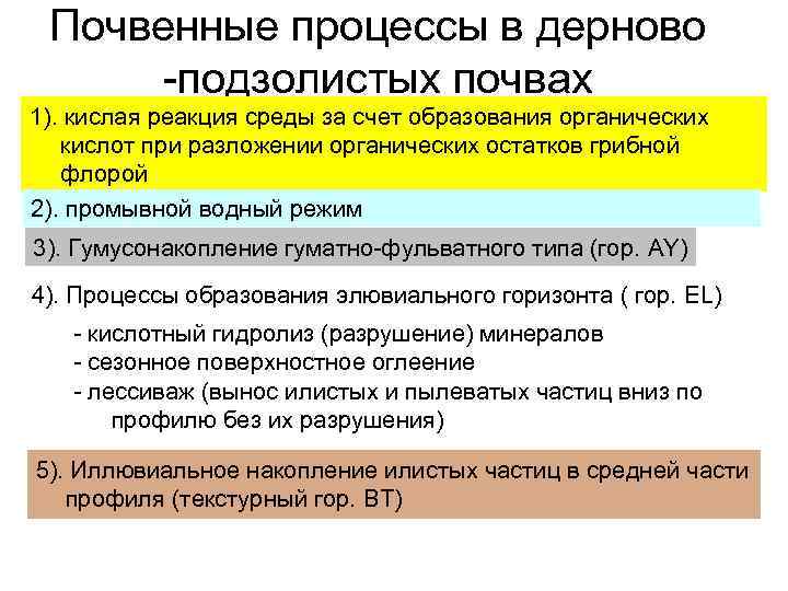 Почвенные процессы в дерново -подзолистых почвах 1). кислая реакция среды за счет образования органических