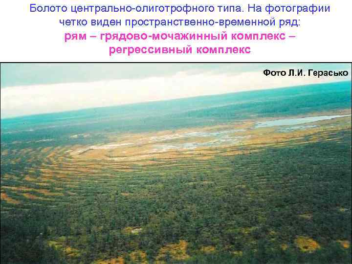 Болото центрально-олиготрофного типа. На фотографии четко виден пространственно-временной ряд: рям – грядово-мочажинный комплекс –