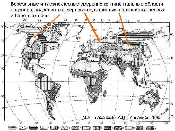Бореальные и таежно-лесные умеренно континентальные области подзолов, подзолистых, дерново-подзолистых, подзолисто-глеевых и болотных почв М.
