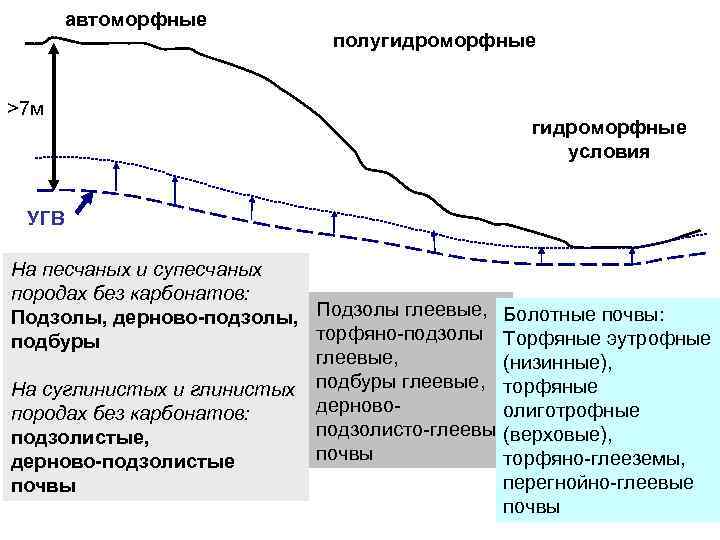 На какой стадии развития оврага происходит обрушение стенок оврага до угла естественного равновесия