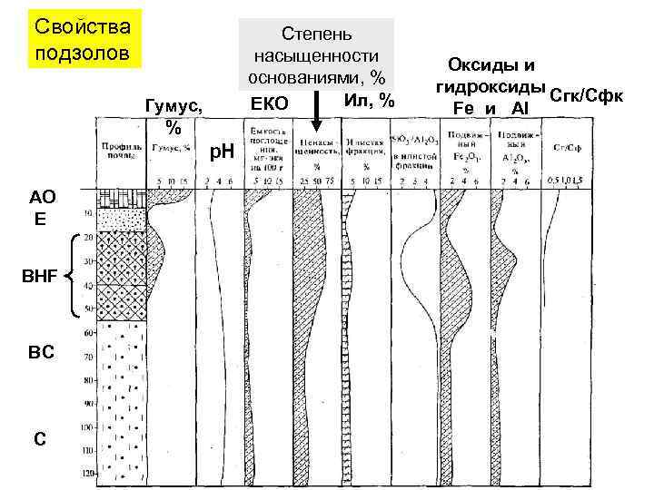 Свойства подзолов Степень насыщенности основаниями, % Ил, % ЕКО Гумус, % p. H AO