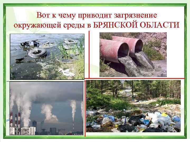 Вот к чему приводит загрязнение окружающей среды в БРЯНСКОЙ ОБЛАСТИ 