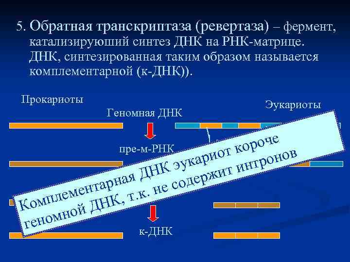 Ревертаза