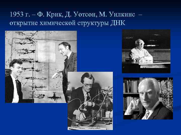 1953 г. – Ф. Крик, Д. Уотсон, М. Уилкинс – открытие химической структуры ДНК